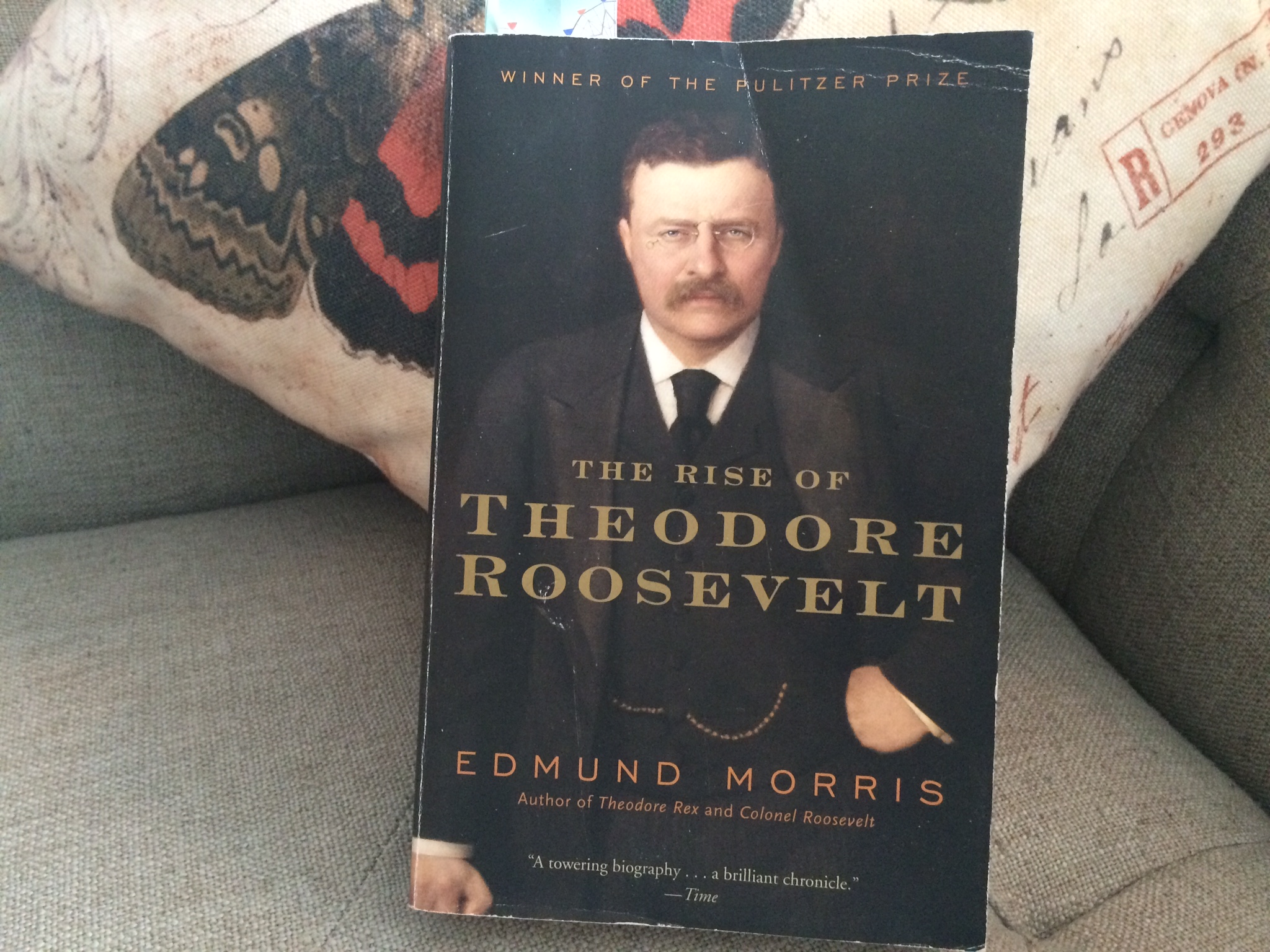 the rise of theodore roosevelt edmund morris review - Benjamin McEvoy