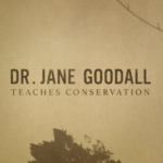 dr Jane Goodall teaches conservation