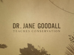 dr Jane Goodall teaches conservation