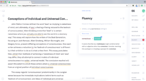 is grammarly premium worth it