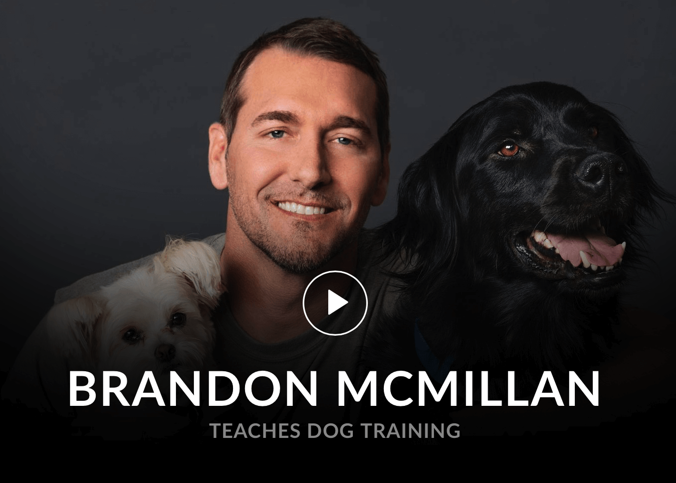 brandon mcmillan dog training videos